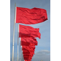 Pole Flag